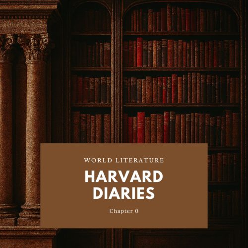 my 14 week journey in Harvard, documented in diaries